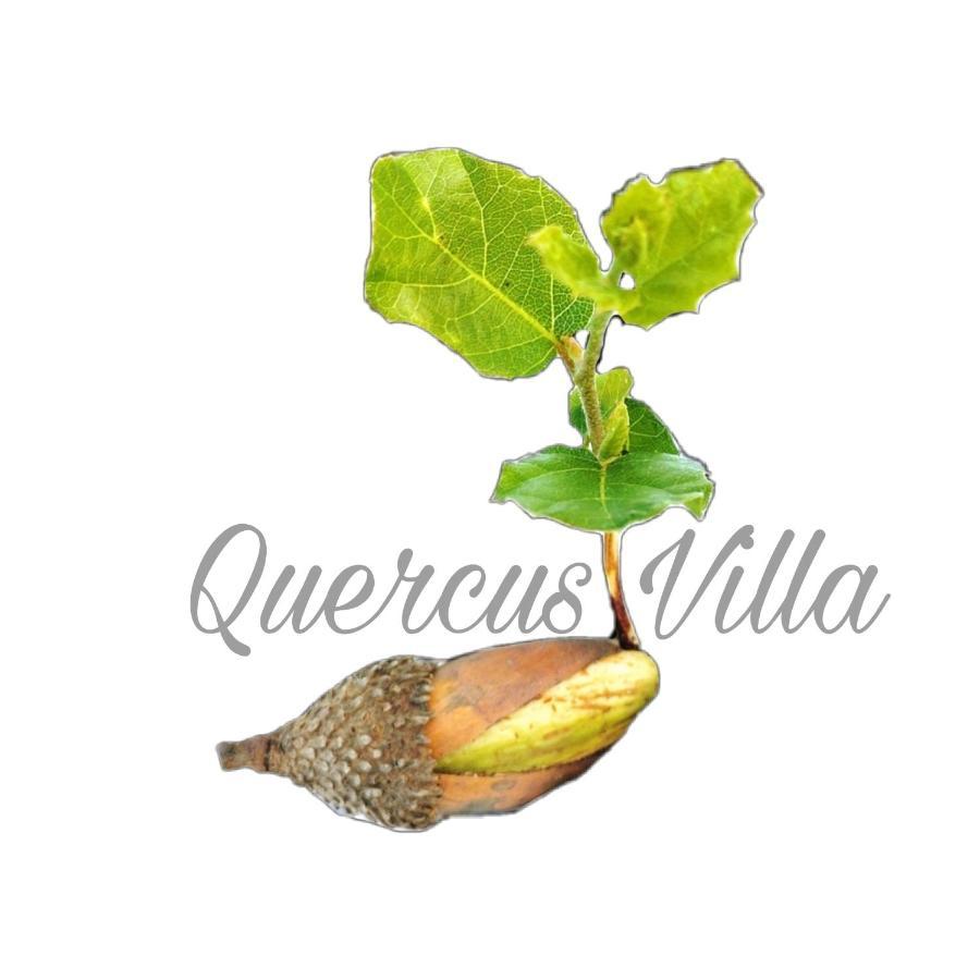 Quercus Villa Sesimbra Esterno foto